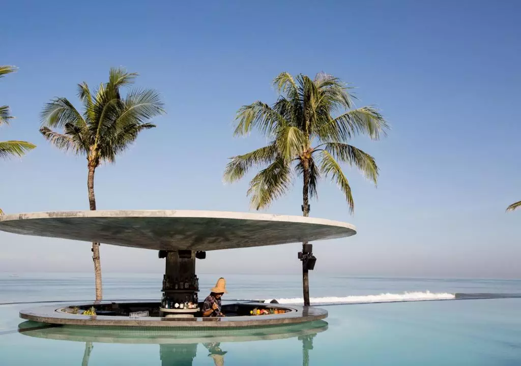 پتیتو هد بار